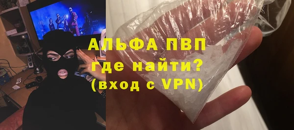 мяу мяу мука Иннополис