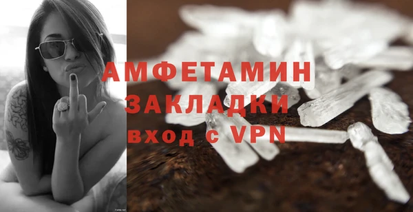 мяу мяу мука Иннополис