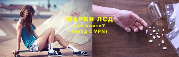 соль ск Инсар