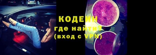 мяу мяу мука Иннополис