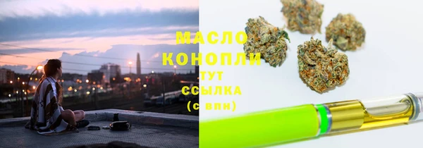 соль ск Инсар