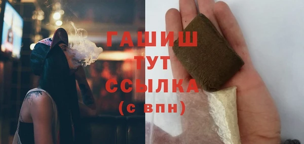 соль ск Инсар