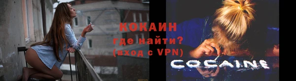 мяу мяу мука Иннополис