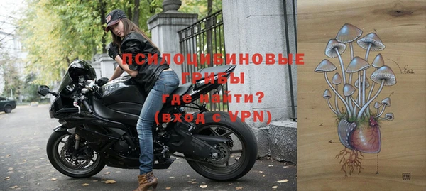 соль ск Инсар