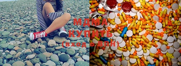 мяу мяу мука Иннополис