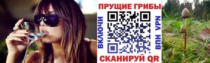 Галлюциногенные грибы ЛСД  Купить  Каменка 